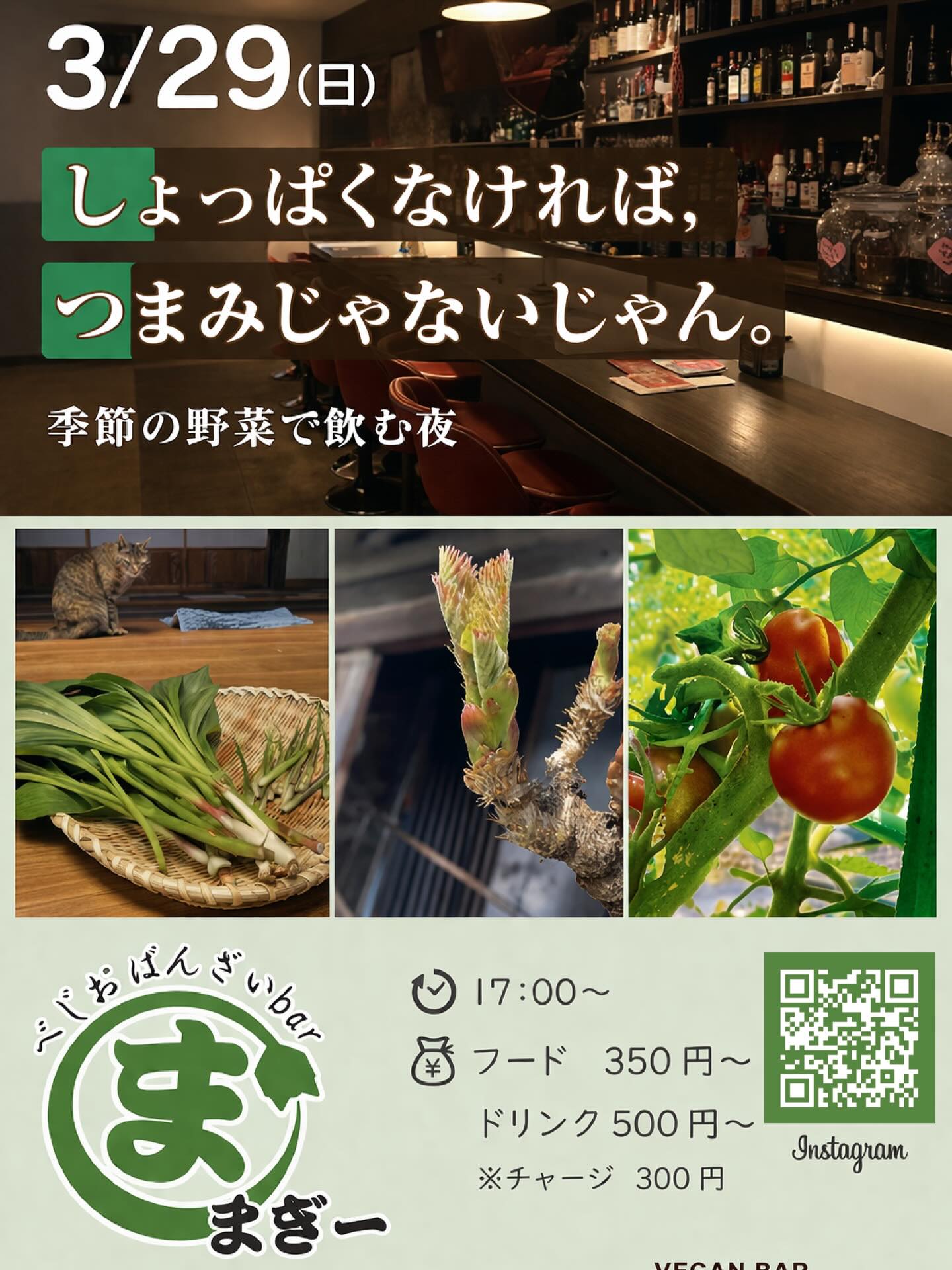 あなたが現在見ているのは 【終了】3/29(日) ベジおばんざいbarまぎー